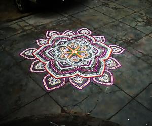 Rangoli: maatu pongal