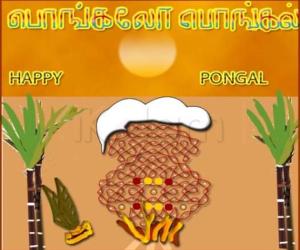 pongal  pot kolam