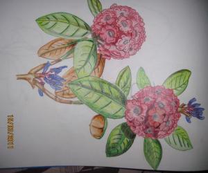 pencil shading 