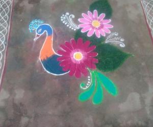 Peacock kolam