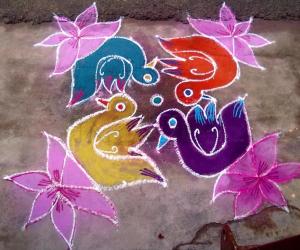 Rangoli: dotted kolam