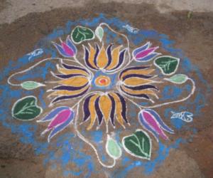lotus kolam