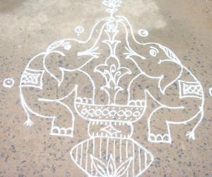 elephant kolam