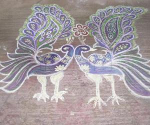 Rangoli: Mattu Pongal special