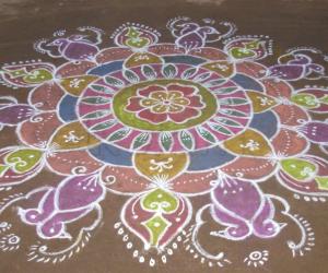 Rangoli: Pongal rangoli