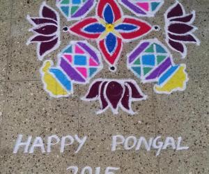 Pongal kolam