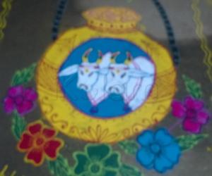 pongal pot contest rangoli 2015