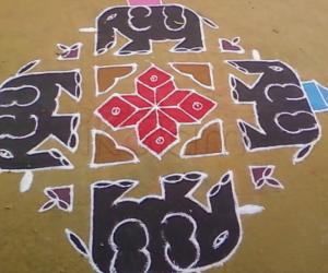 Elephant kolam