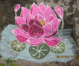 Lotus