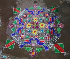 Rangoli: birds kolam