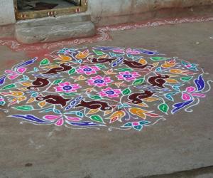 Rangoli: birds kolam