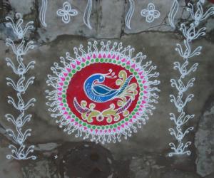 Best Peacock rangoli