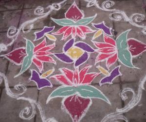 Lotus kolam