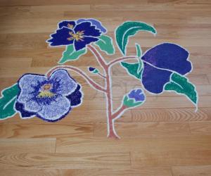 Pansy Flowers