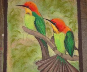birds