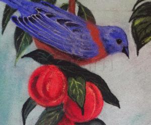 Rangoli: Bird