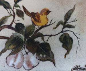 bird