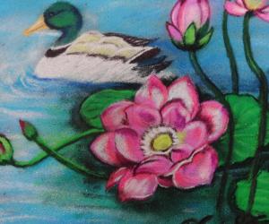 Rangoli: scenary