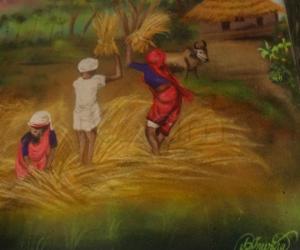 Pongal rangoli