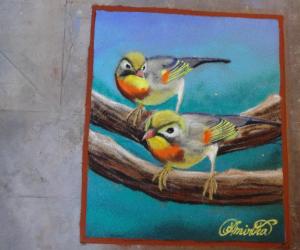 birds