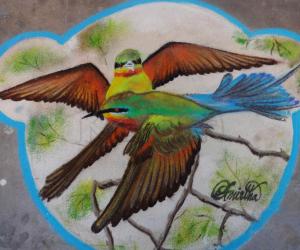 BIRDS