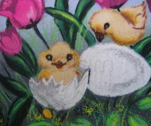 chicks