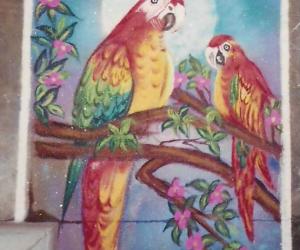 Birds