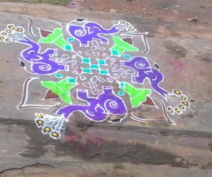 elephant rangoli