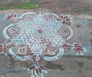 Rangoli: chikku kolam.