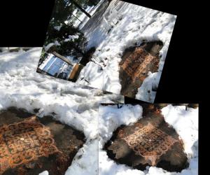 Dotted Rangoli in snow