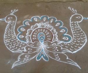 my kolam