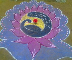 Rangoli: PEACOCK RANGOLI