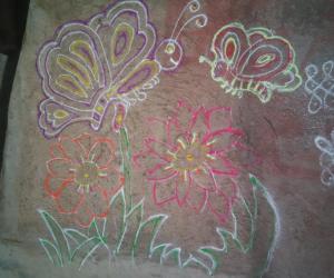 Rangoli: Butterfly rangoli 
