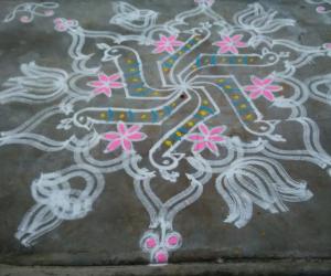 Peacocks form a star