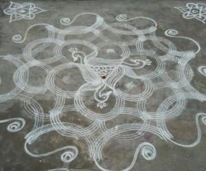 Peacock rangoli