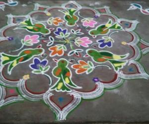 Margazhi kolam-parrot kolam