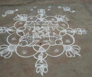 Fish kolam