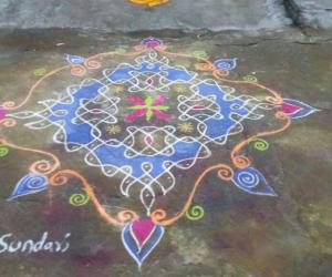 Rangoli: pongal celebration day 3