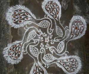Peacock Kolam 