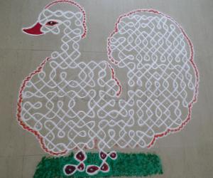 Chikku Swan kolam