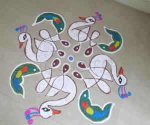 Rangoli: FANCY DRESS COMPETITION FOR WHITE PEACOCKS.