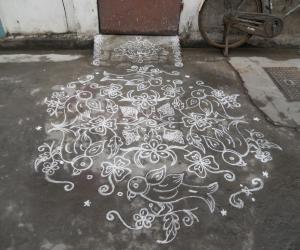 Rangoli: Parrots kolam in white.