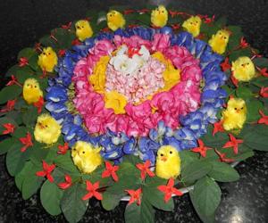 Rangoli:  Tamil new year.Pookolam.