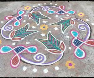 Rangoli: Rev's daily kolam with chikku 77.