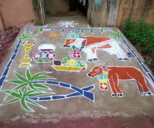  Mattu Pongal kolam 