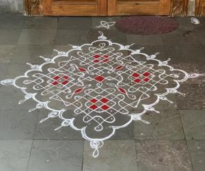 Margazhi white n white