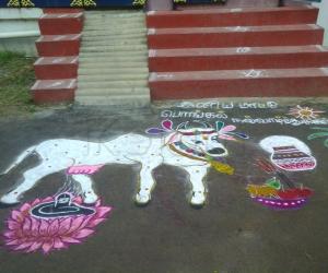 mattu pongal kolam