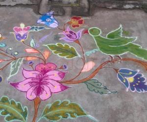 Rangoli: DD parrot kolam