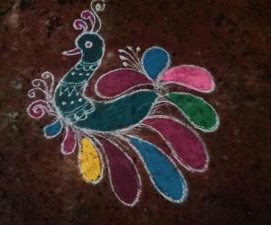 Margazhi mini peacock