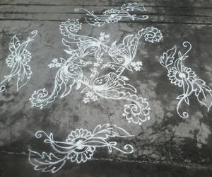 Rangoli: 5-1 dotted peacock kolam.